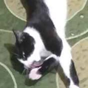 Meet your Posher, Amina